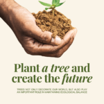 Beige and Green Minimalist Environment Individuals Ecology Nature Instagram Post