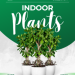 Green & White Minimalist Indoor Plants Instagram Post