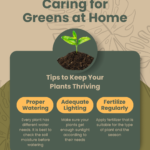 Green and Light Brown Illustrated How to Care For Your Plants Biodegradable instagram post
