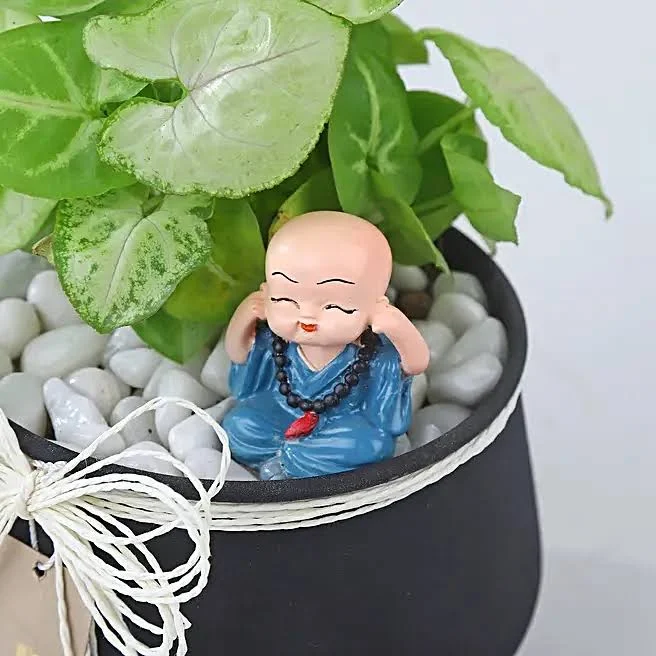 FNP Sleek Syngonium Elegance Gifts - Image 4