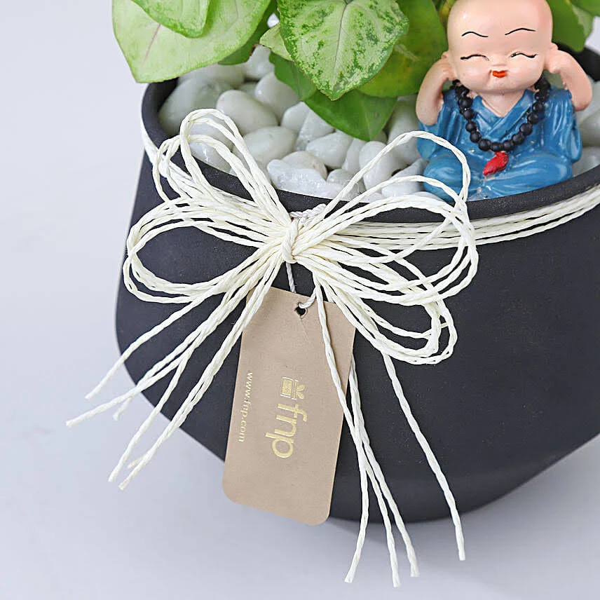 FNP Sleek Syngonium Elegance Gifts - Image 3